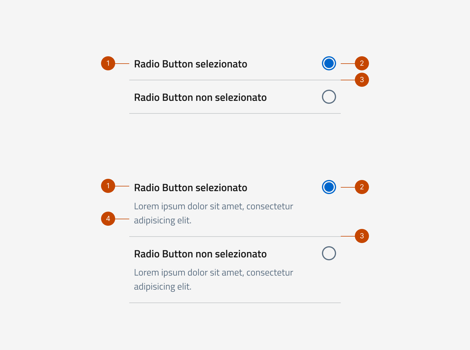Gli elementi che formano il Radio button
